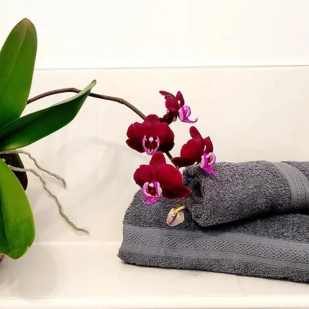 Fw-allegra Apartamento *